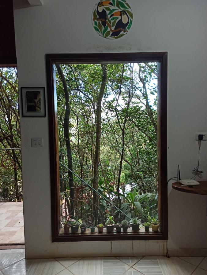 Casa Da Mata Descanso E Sossego Na Natureza Ибикоара Экстерьер фото