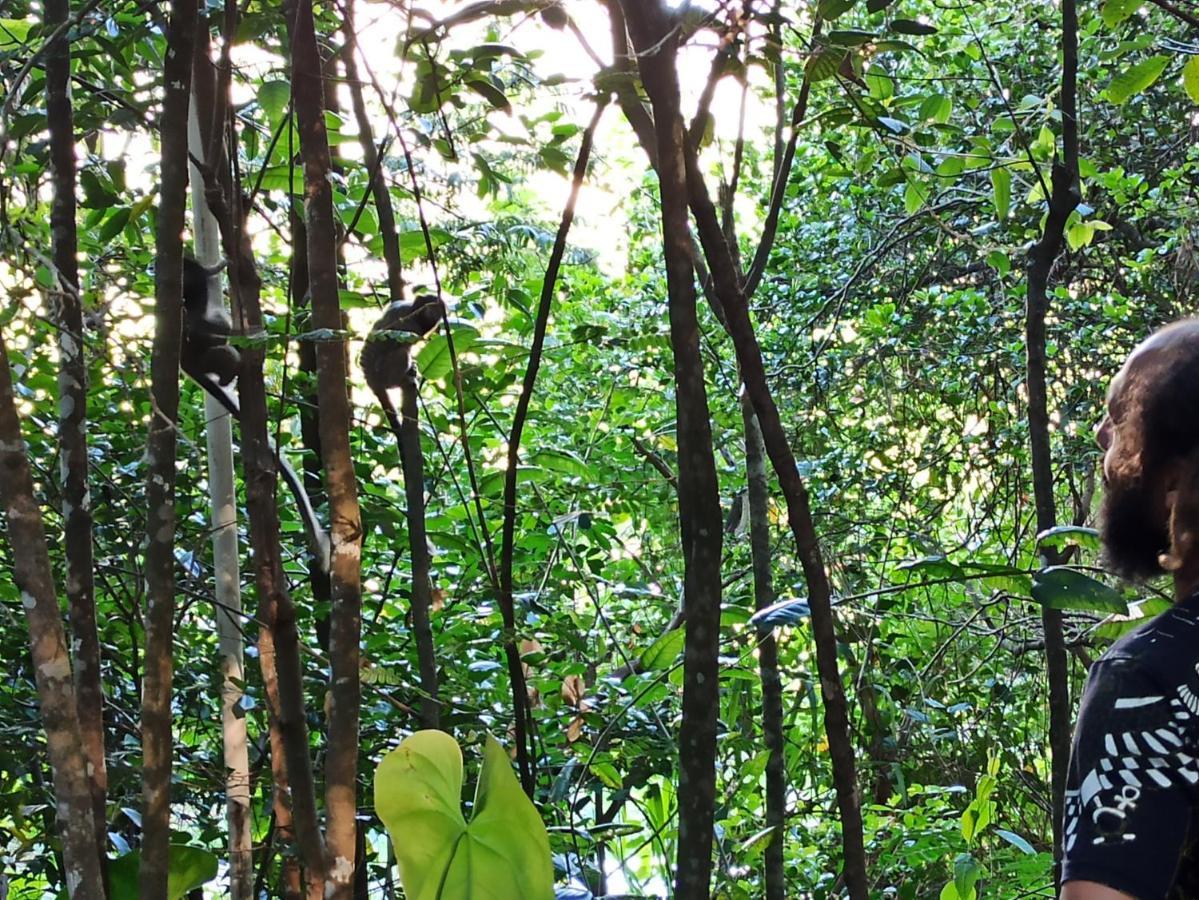 Casa Da Mata Descanso E Sossego Na Natureza Ибикоара Экстерьер фото